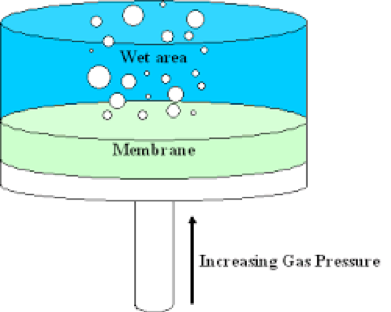 Figure 2 Bubble Point Test Image